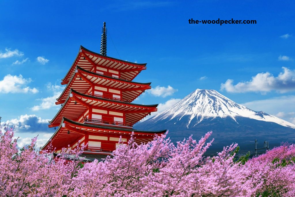 Tempat Wisata Terbaik di Jepang yang Wajib Dikunjungi