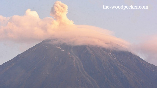 Gunung Tertinggi di Indonesia & Fakta Menariknya